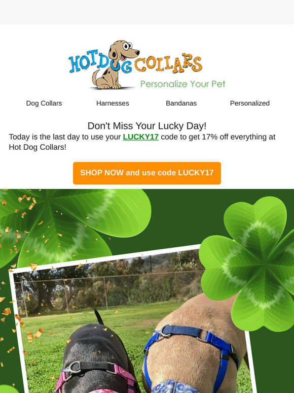 Don't Miss Your Lucky Day! 17% Off Ends Today!