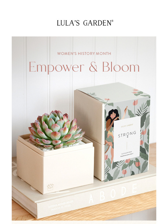 Celebrate Women's History Month With Thoughtful Succulent Gifts 💞