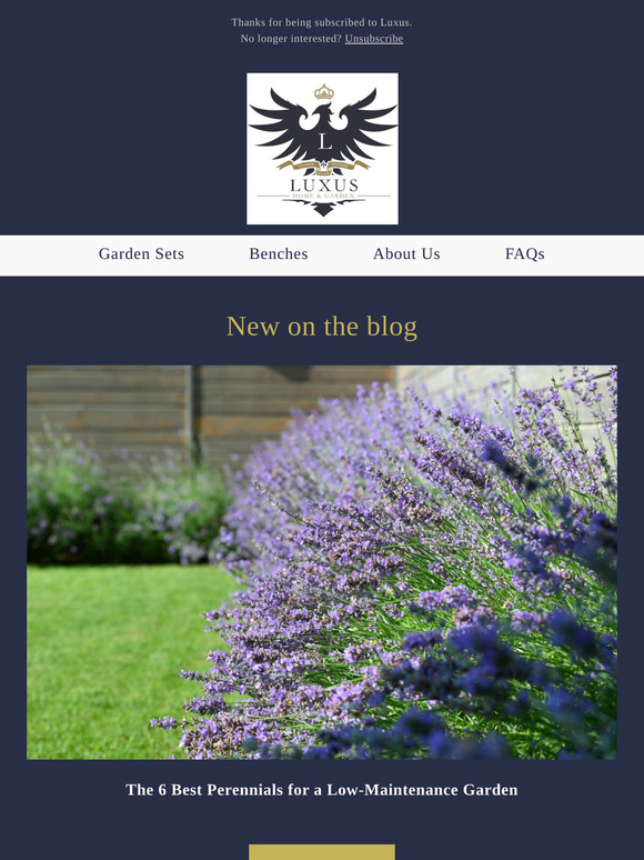 New on our blog