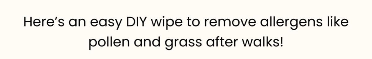 Here’s an easy DIY wipe to remove allergens like pollen and grass after walks!