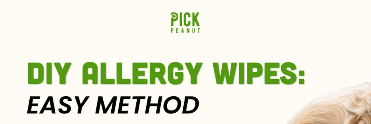 DIY Allergy Wipes: EASY METHOD