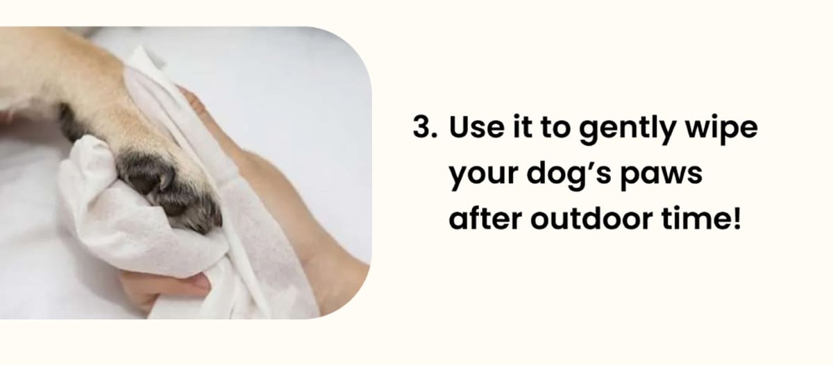 3. Use it to gently wipe your dog’s paws after outdoor time!