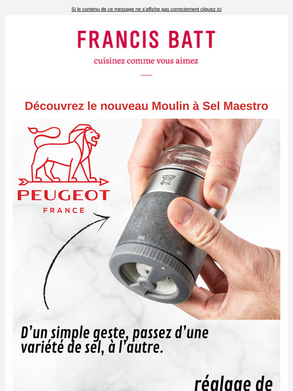 Découvrez le nouveau Moulin à Sel Maestro