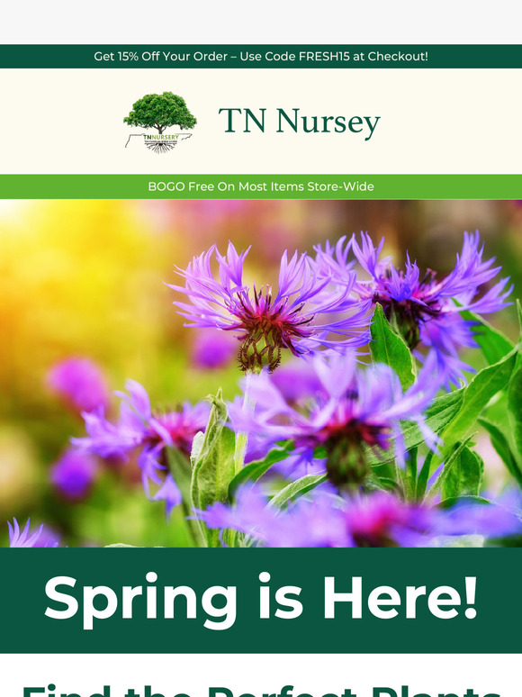 Find the Perfect Plants For Your Garden 🌿