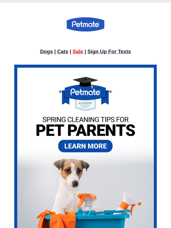 Fresh Season, Fresh Start – Spring Cleaning Tips for Pet Parents!