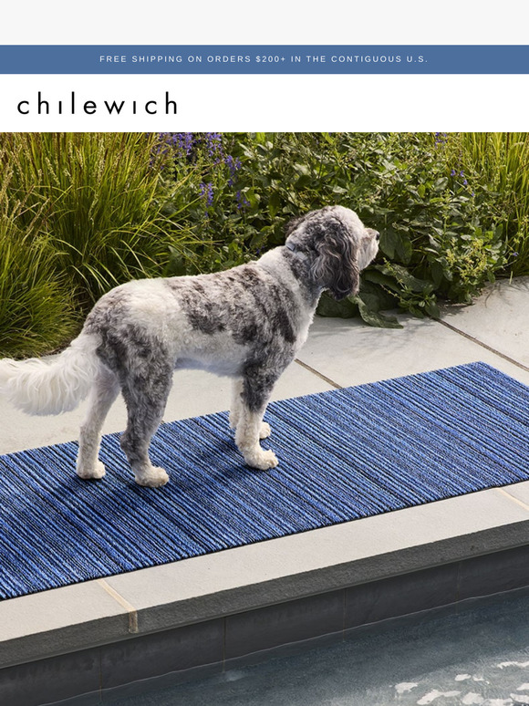Perfect for Pets, Beloved by Humans