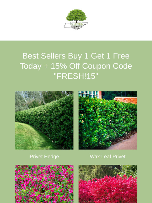 Best Sellers Back in Stock