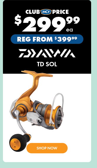 Daiwa TD SOL Reel