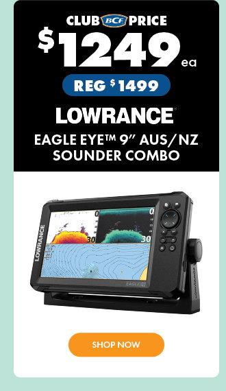 Lowrance Eagle Eye 9