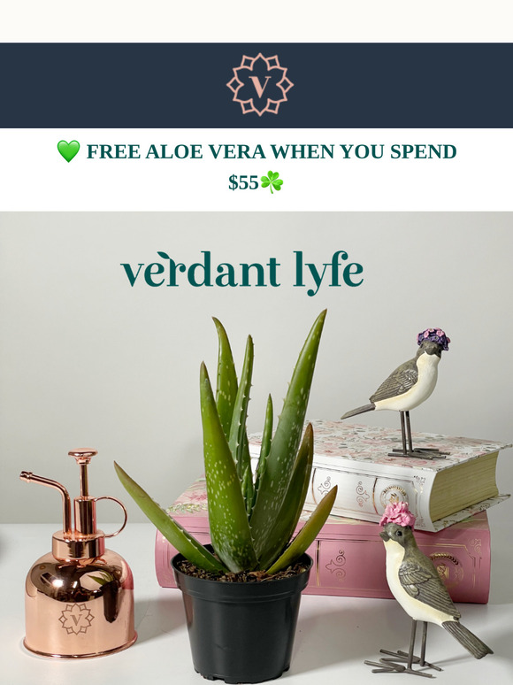🌱FREE ALOE VERA WHEN YOU SPEND $55 ✨