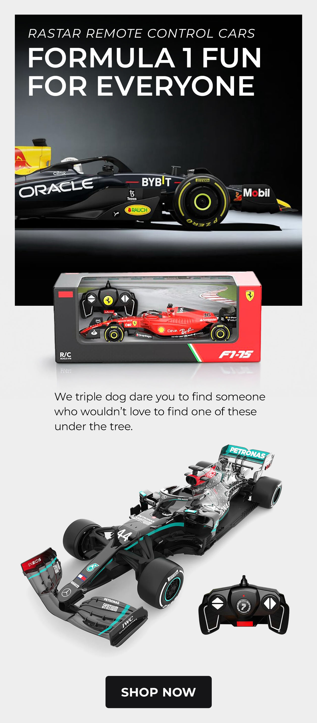 Rastar Remote Control F1 Cars
