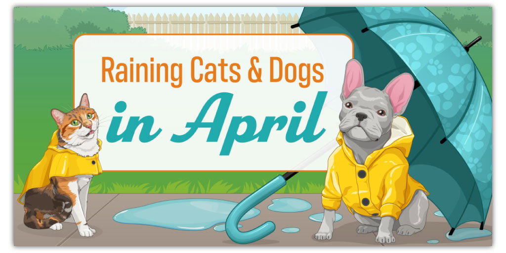An illustration for 'Raining Cats & Dogs in April' featuring a calico cat in a yellow raincoat sitting beside a puddle, and a gray French Bulldog in a matching raincoat under a blue umbrella. The scene is set against a backdrop of a green yard and a white picket fence.