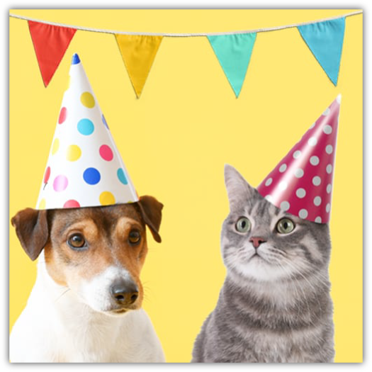 A Jack Russell Terrier and a gray tabby cat wearing colorful polka-dotted party hats, positioned under a string of bright, multicolored pennant flags against a yellow background, celebrating a festive atmosphere.