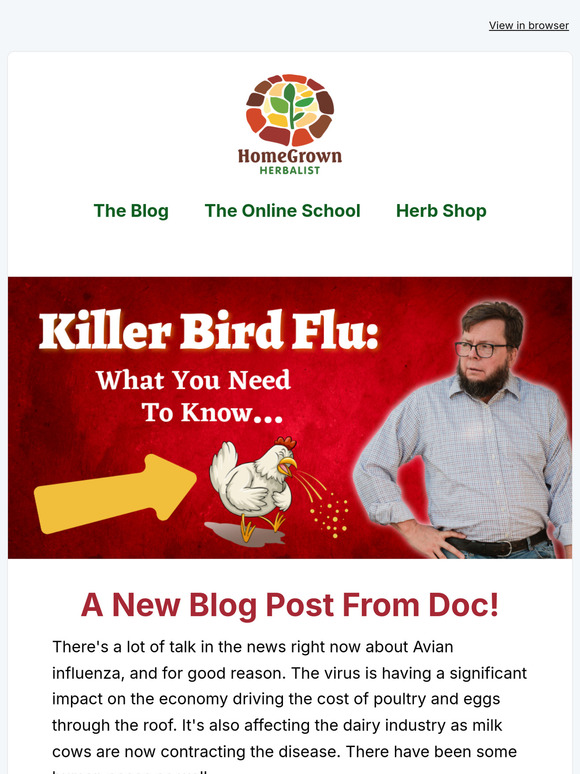 Egg Prices, Bird Flu, and Your Path Forward