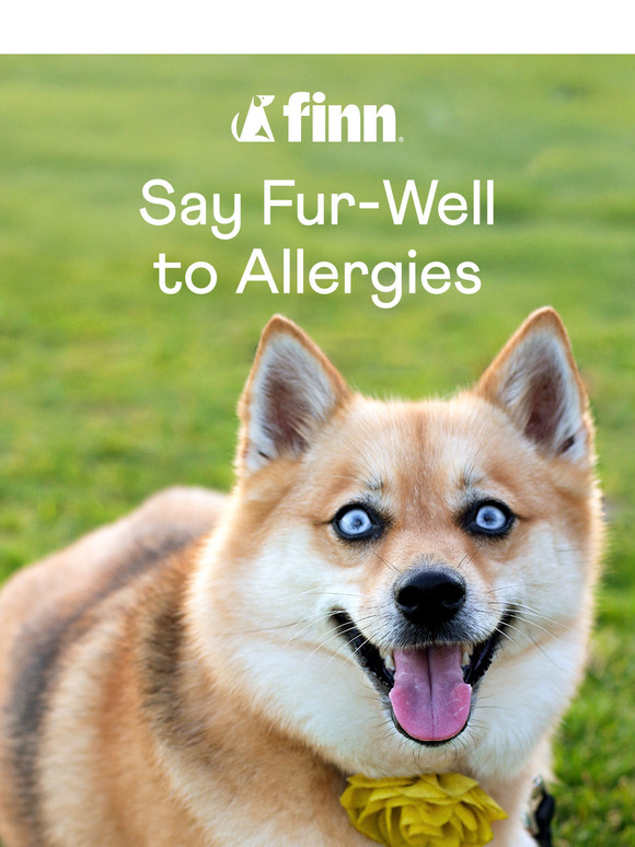 Itchy Dog? Here's why...