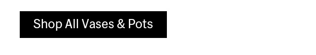 Shop All Vases & Pots