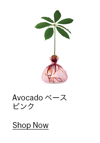 Avocado $B%Y!<%9(B $B%T%s%/(B