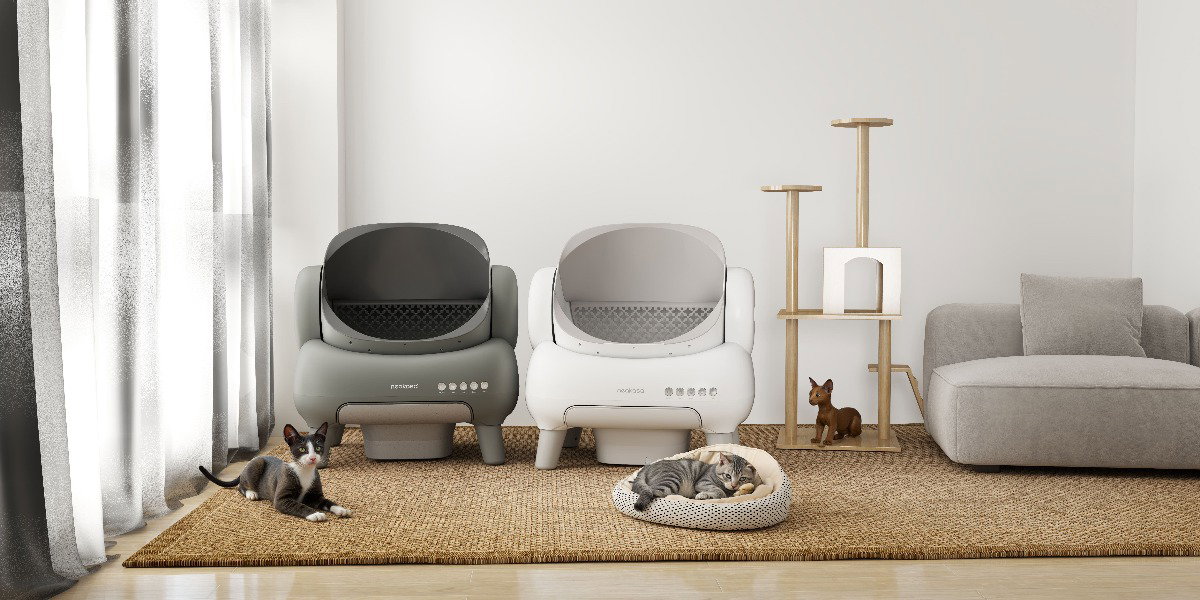 Cats sitting in a living room with Neakasa M1 and M1 Lite