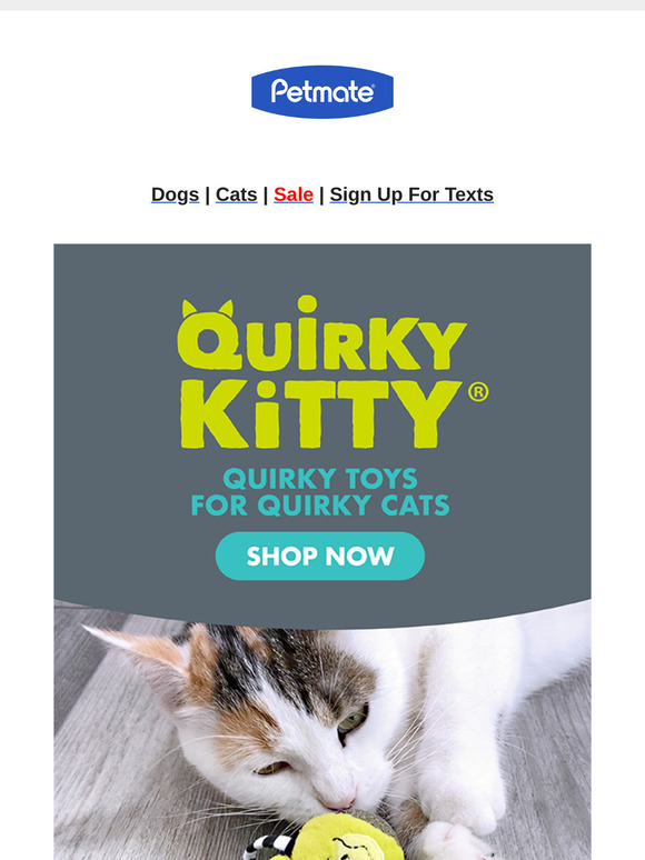 Quirky. Functional. Purr-fect. Ready to Spoil Your Kitty, ?