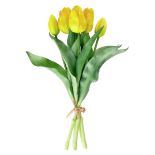 Tulpenbund 