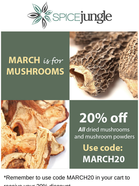 ⏳ Limited Time: 20% Off Dried Mushrooms and Powders!