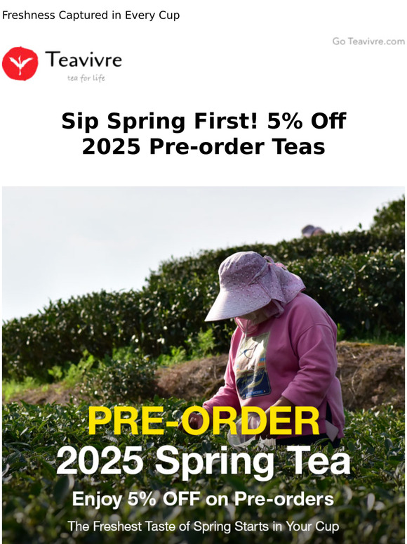 Pre-order Now: Sip Spring First! 5% Off 2025 Pre-order Teas