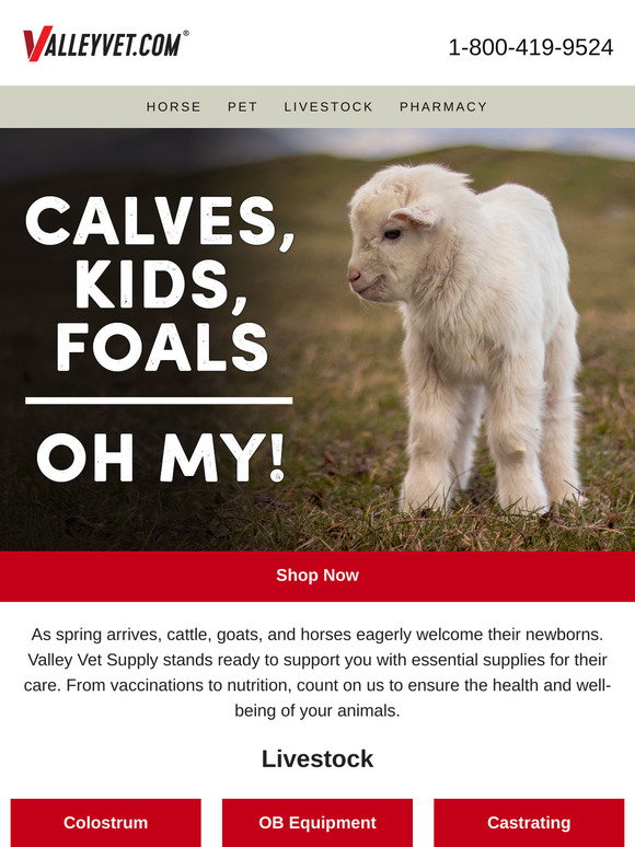 Spring Newborns? Get the Essentials!