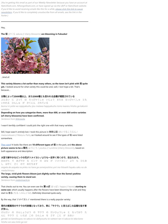 Early cherry blossoms in Japan