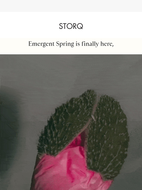 Weekend Edit: Emergent Spring Is Finally Here,