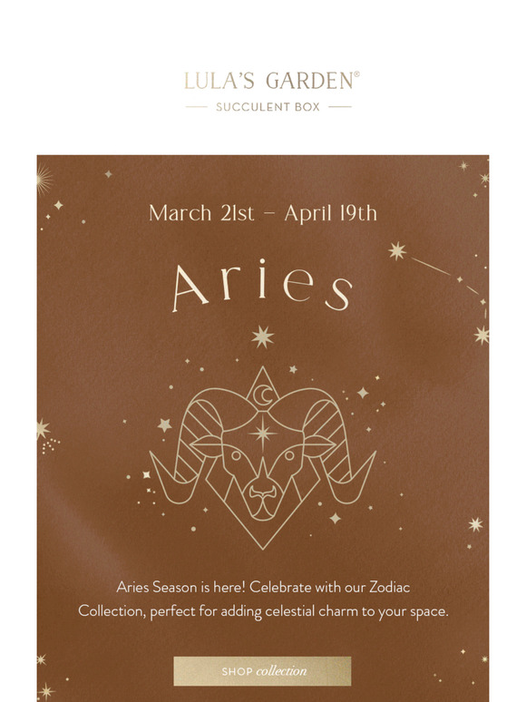 Aries Gifts To Add To Your Cart! ♈️