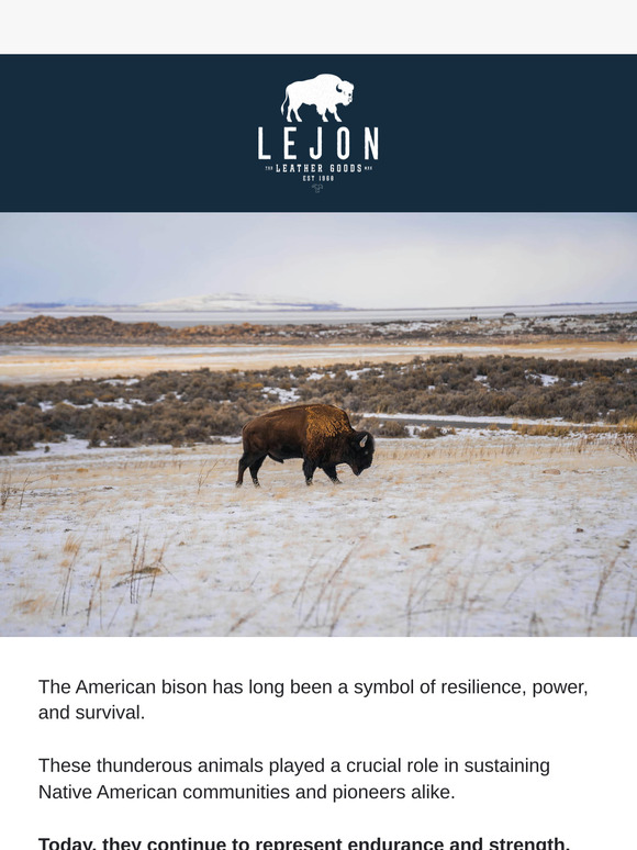 Why choose bison leather?