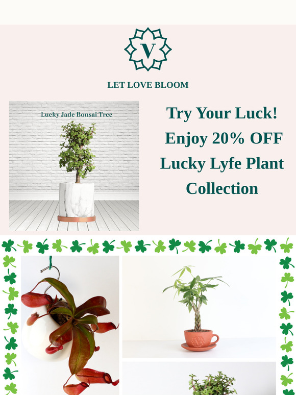 🌿 Luck’s on Your Side: 20% OFF the Lucky Lyfe Collection! 🍀
