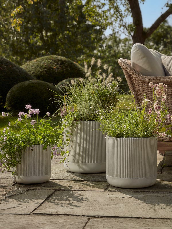 Three Dove Grey Fluted Planters - Small