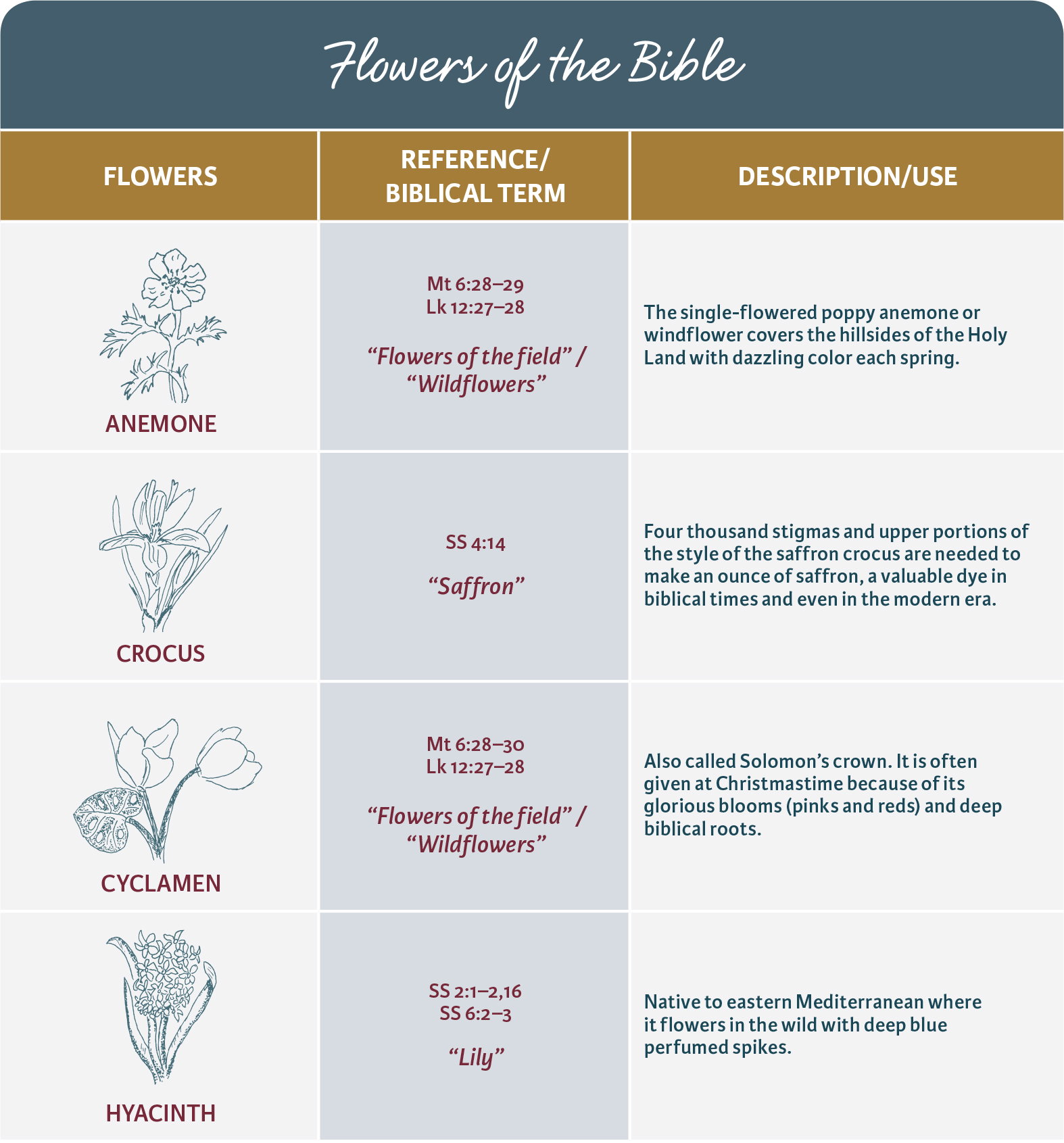 Flowers of the Bible