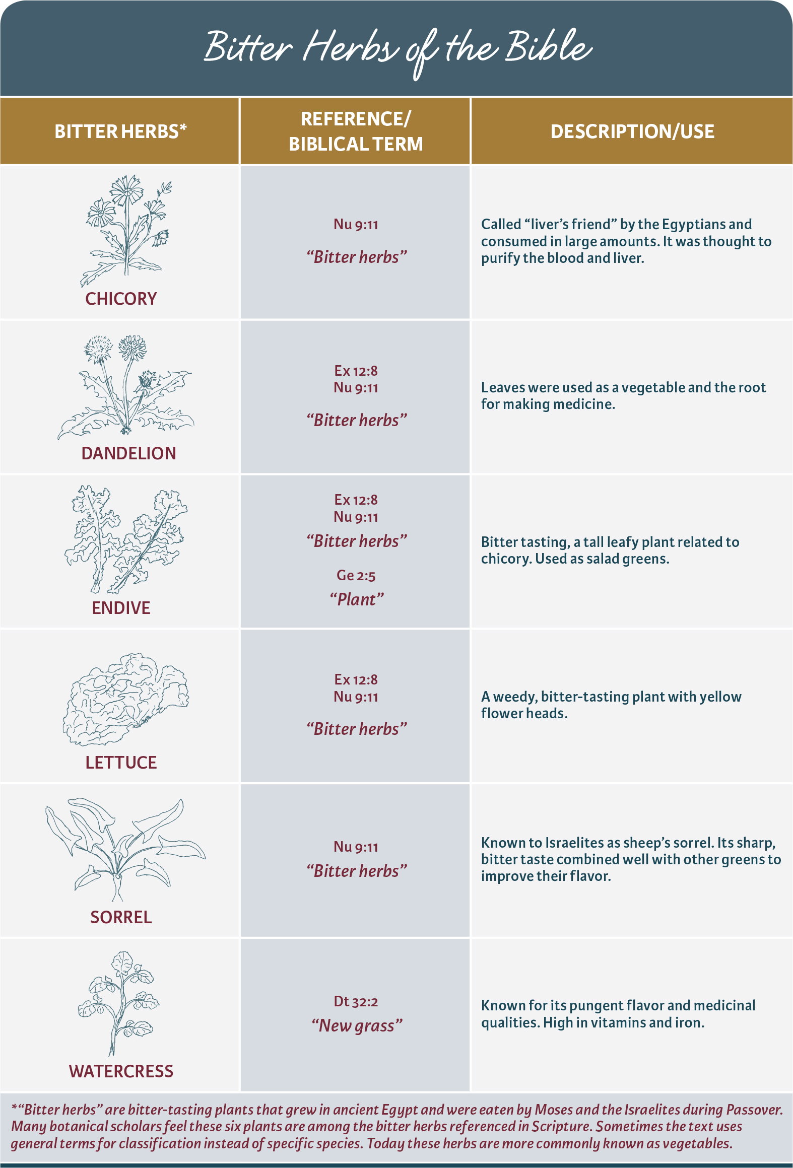 Bitter Herbs of the Bible