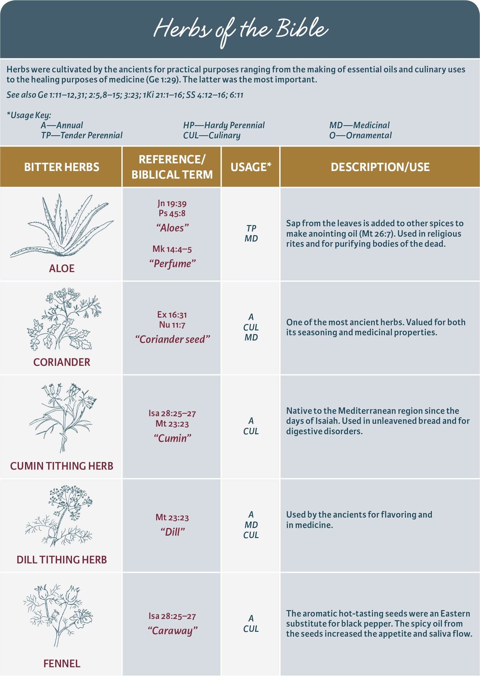 Herbs of the Bible