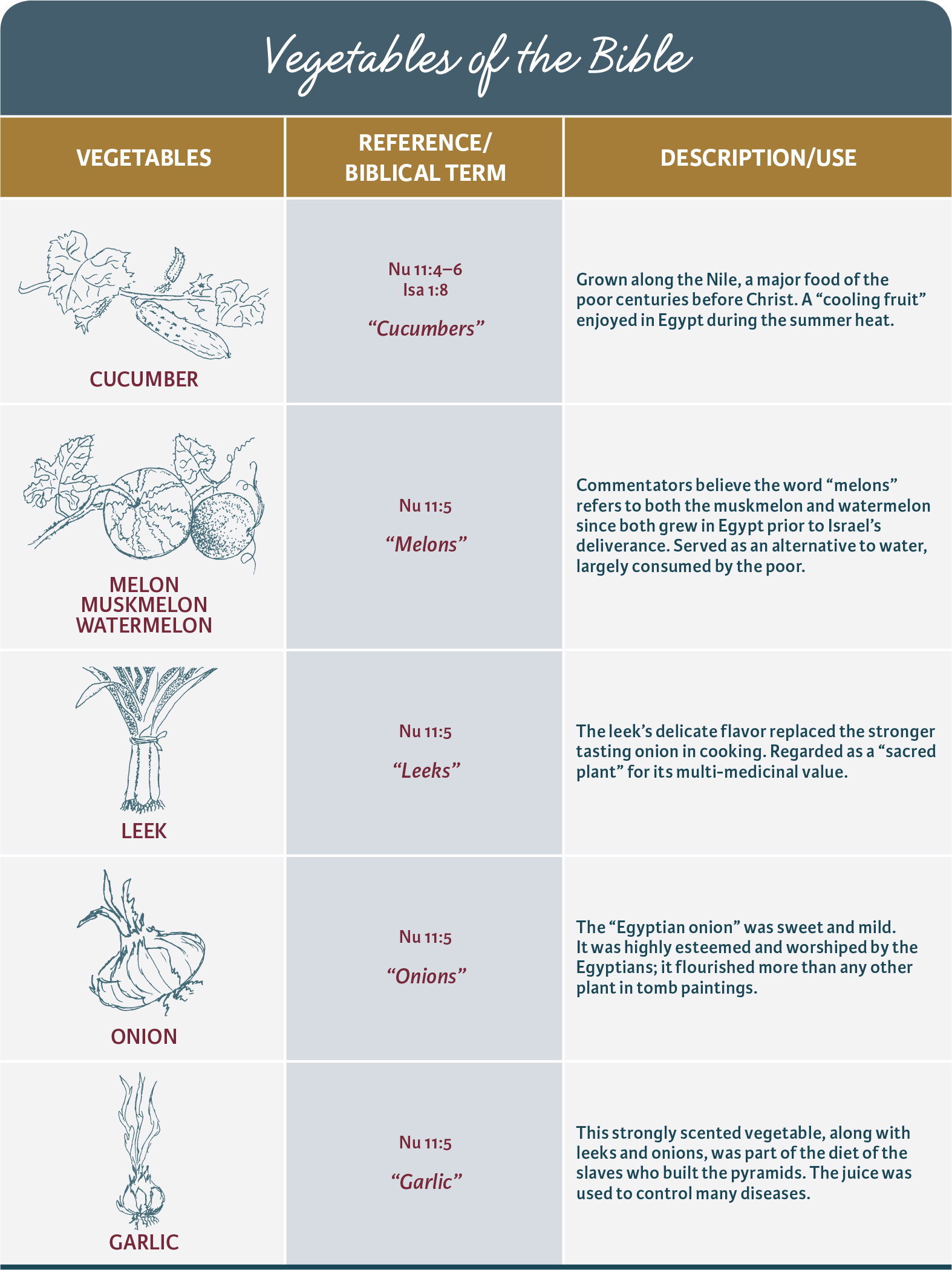 Vegetables of the Bible