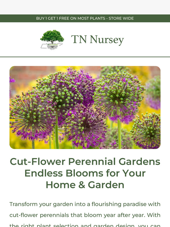 Cut-Flower Perennials!🌸 Endless Blooms for Your Home & Garden🌿