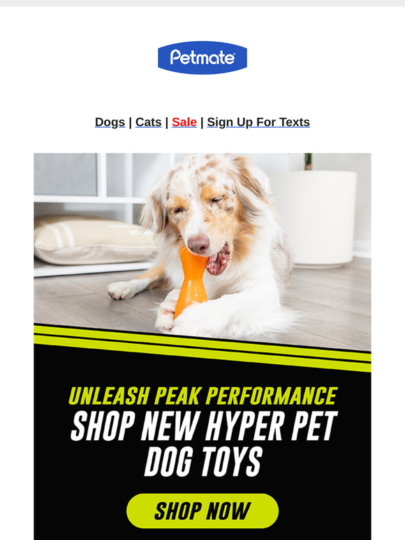 New Hyper Pet Toys Are Here, !