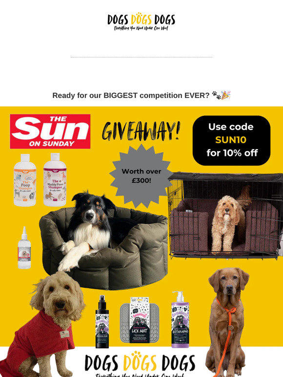 🎉 Our BIGGEST Dog Giveaway Yet! Over £300 of Goodies Up for Grabs! 🐶✨