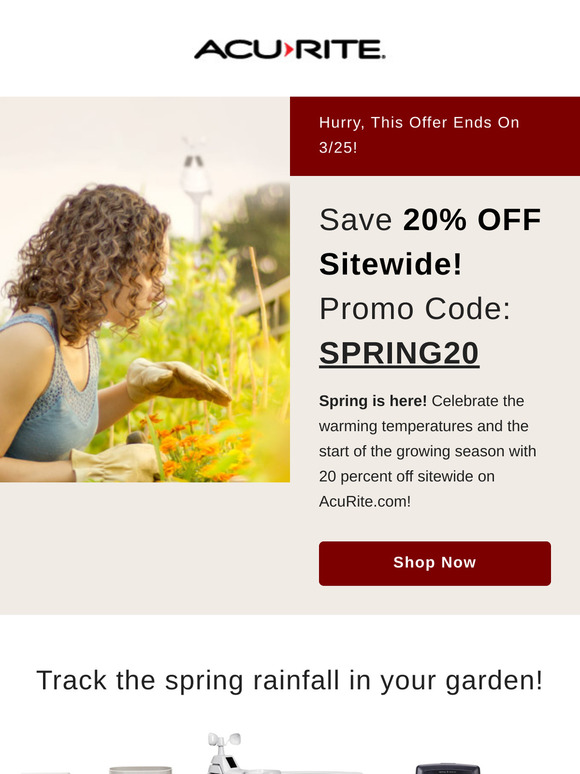 🌸 20% Spring Savings
