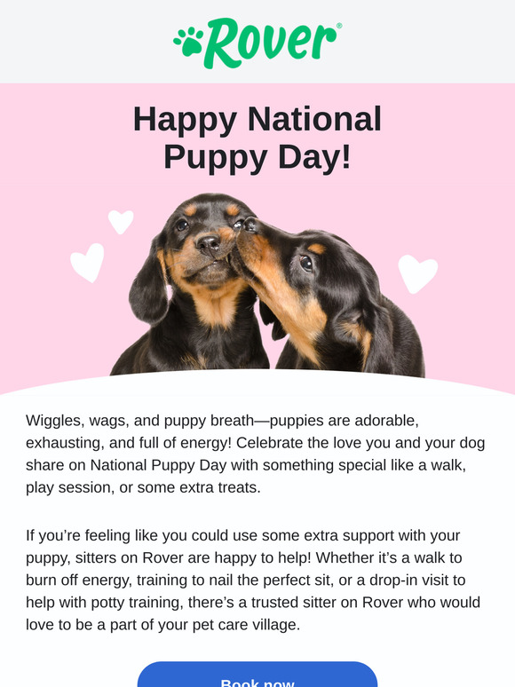 Celebrate puppy love 💚🐶