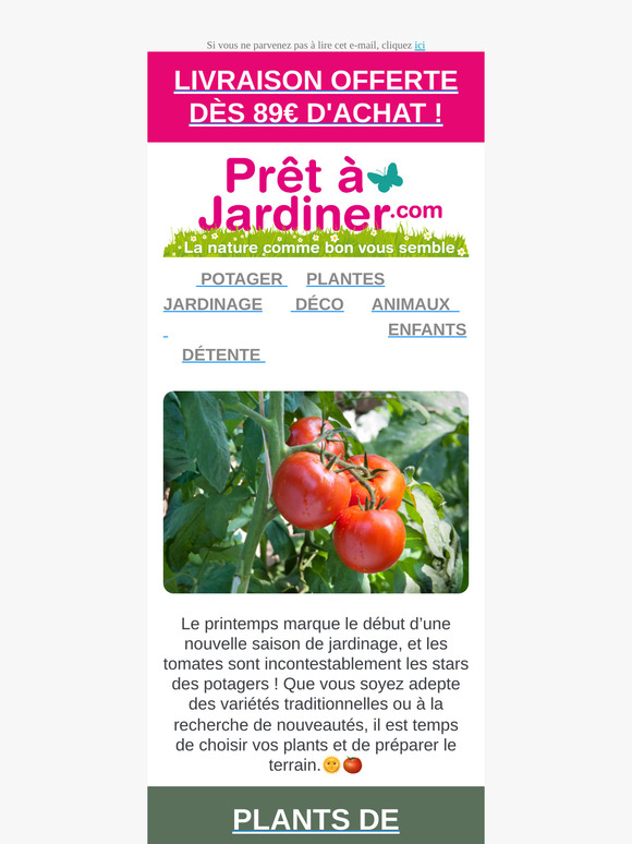Découvrez toutes nos variétés de tomates 🌱
