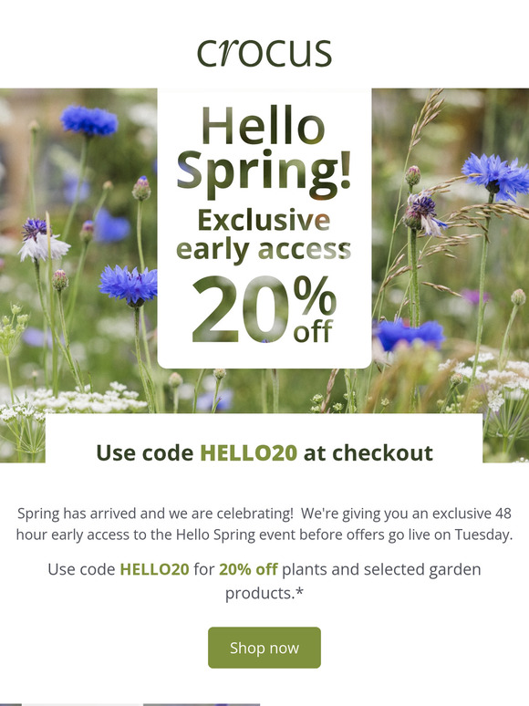 Your exclusive offer: 20% OFF plants 💚