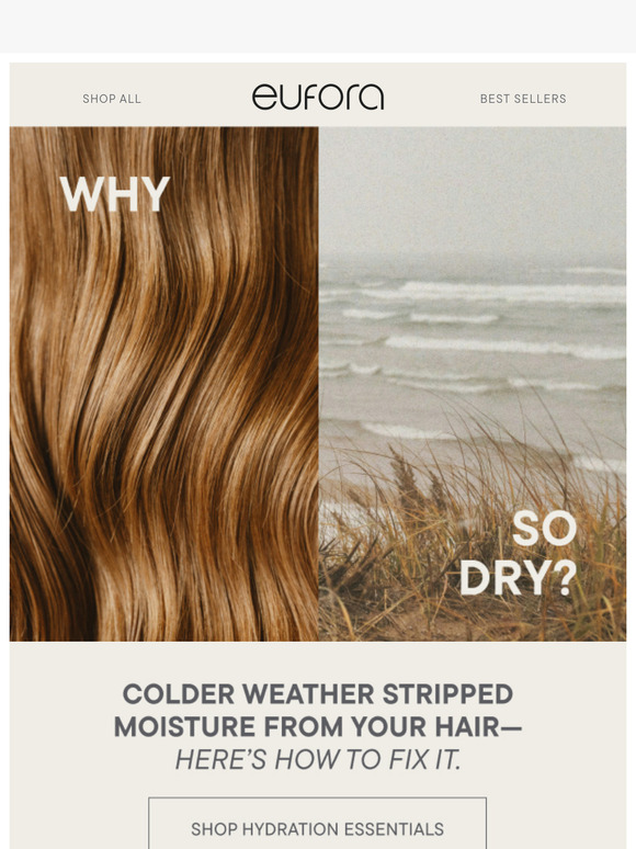 Winter damaged your hair. Here’s how to fix it.