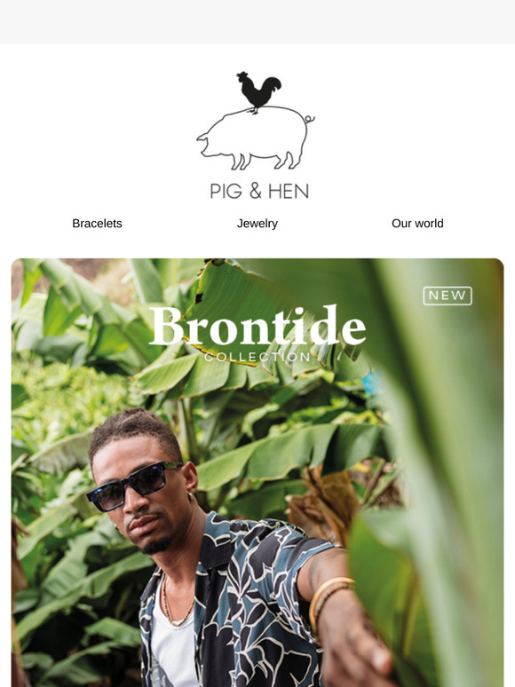 New Brontide Collection: Vibrant & Timeless ✨