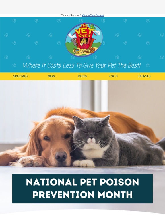 What Are the Most Common Poisons to Pets? 🍫🍇