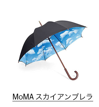 MoMA $B%9%+%$%