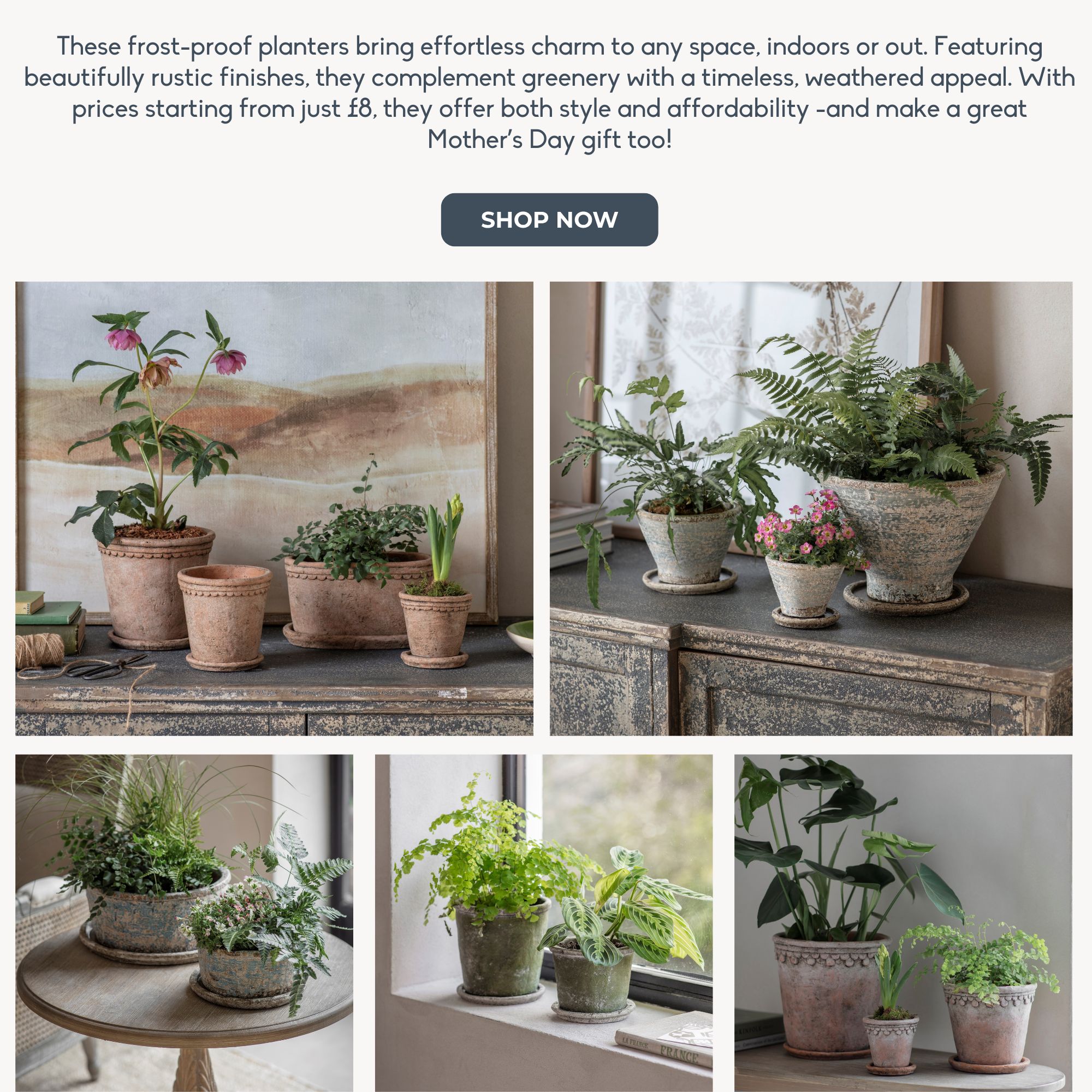 New Frost Proof pots and planters at One.World