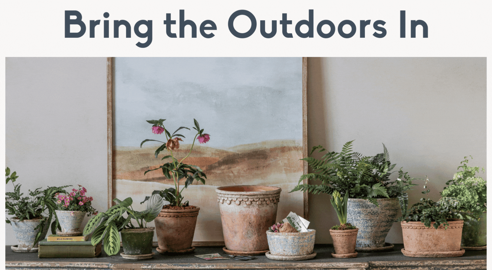 New Frost Proof pots and planters at One.World
